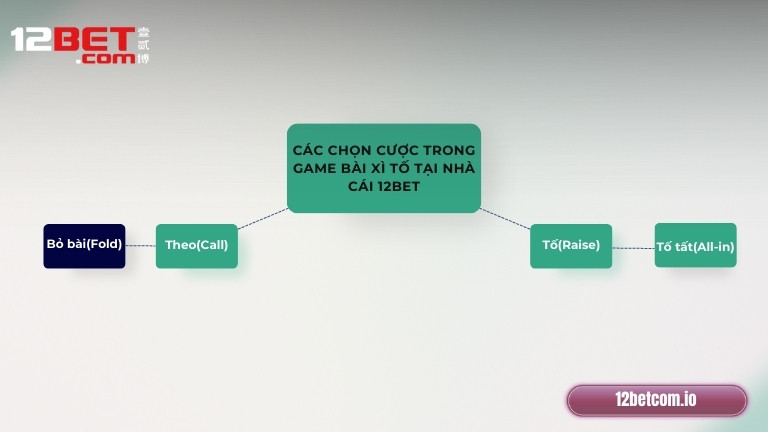 Các chọn cược trong game bài Xì Tố tại nhà cái 12Bet