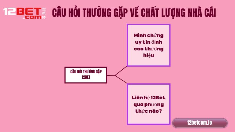 Câu hỏi thường gặp về website và di động