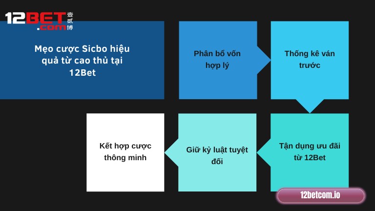 Mẹo cược Sicbo hiệu quả từ cao thủ tại 12Bet