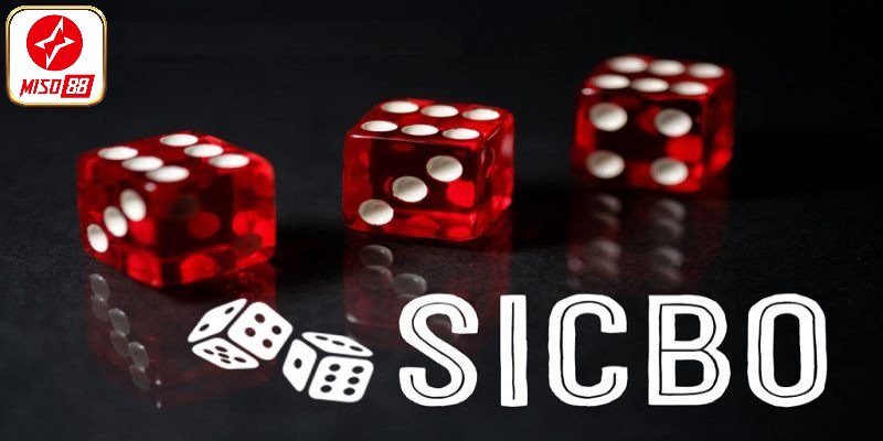 Bí kíp chơi Sicbo Miso88 thắng bất bại cho hội viên