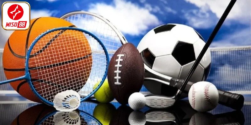 Bộ môn thể thao đình đám