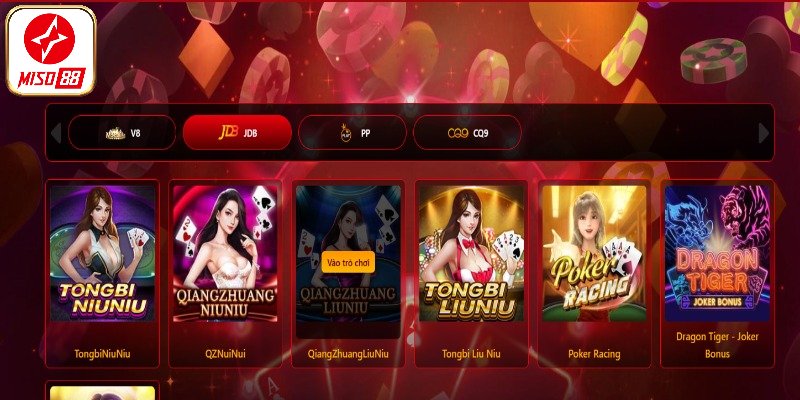 Các đối tác hàng đầu