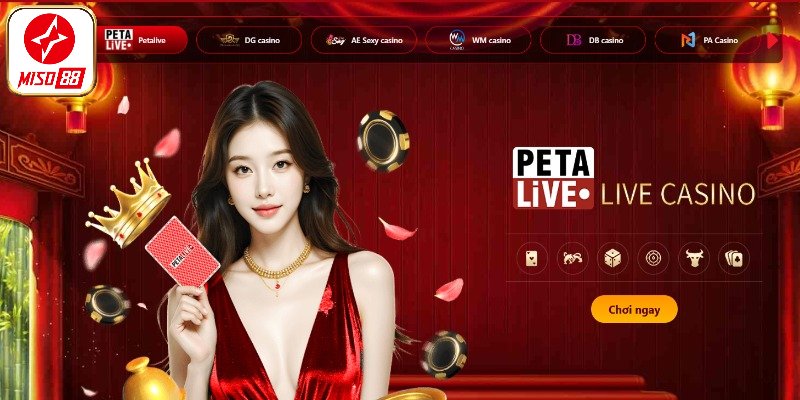 Chuyên mục giải trí hấp dẫn