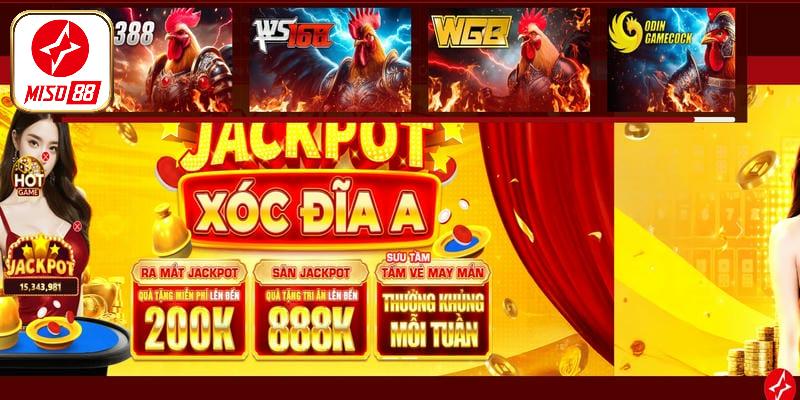 Đá gà Miso88 nâng tầm trải nghiệm cho bet thủ