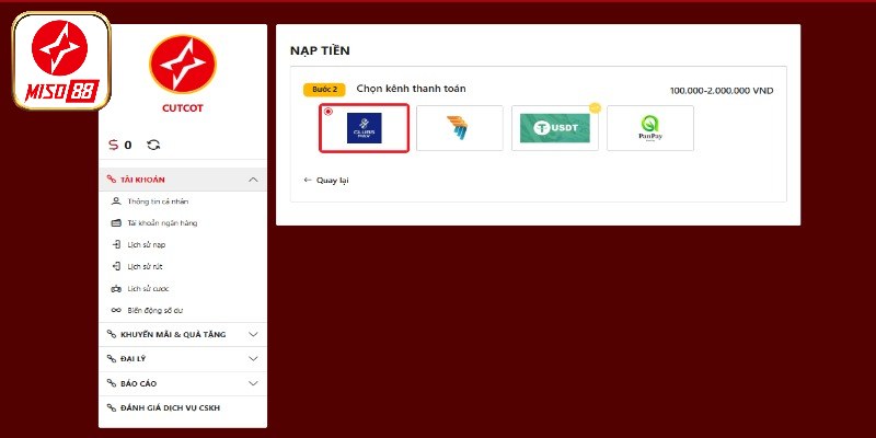 Đôi nét dịch vụ thanh toán 
