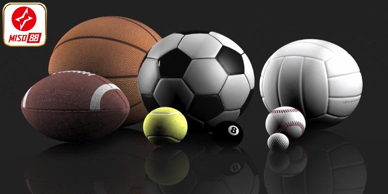 Đối tác thể thao hàng đầu