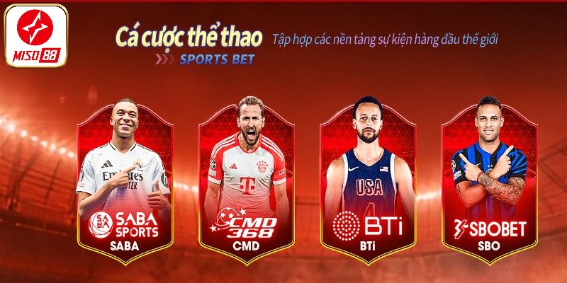 Khám phá tổng quan sảnh thể thao Miso88