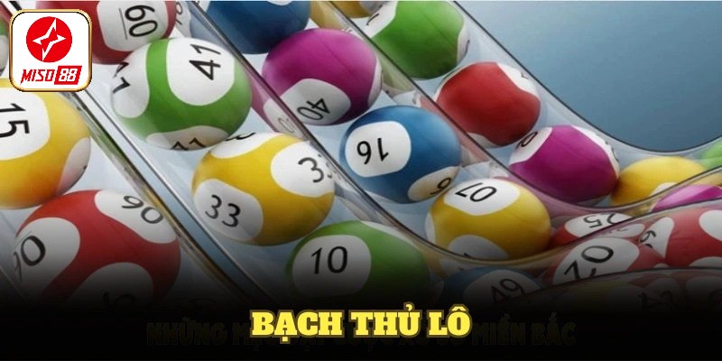 Lưu ý soi cầu bạch thủ