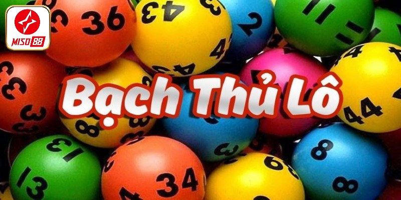 Soi Cầu Bạch Thủ Lô 247 - Bật Mí Kinh Nghiệm Từ Cao Thủ
