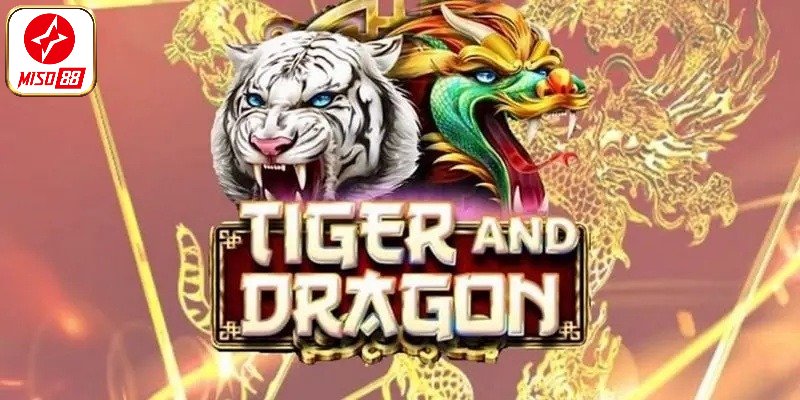 Tổng hợp những loại cửa cược được ưa chuộng trong Rồng Hổ