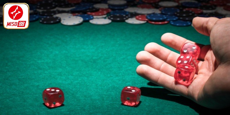 Tổng quan điều khoản cược ý thức