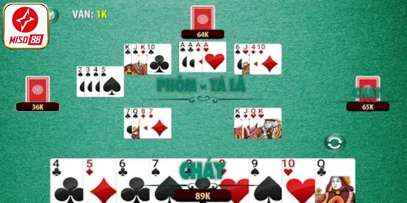 Tổng quan sơ lược về phỏm Miso88